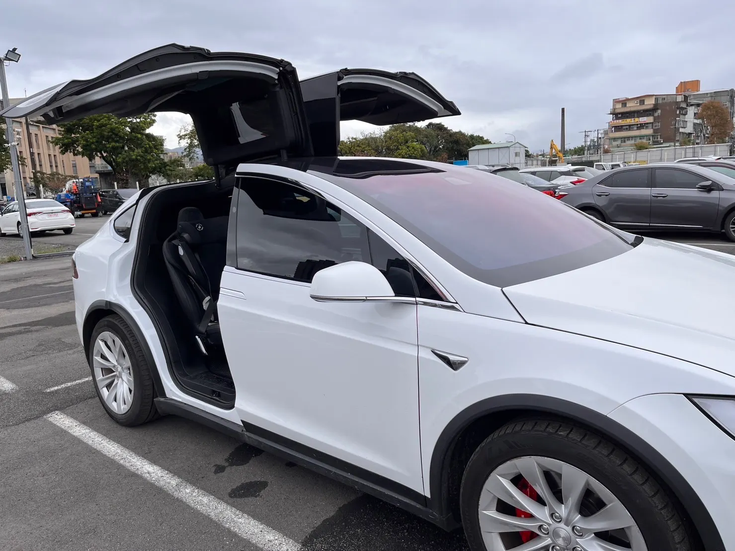 Tesla Model X Performance 照片 1