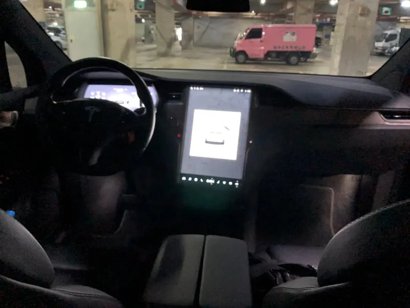 Tesla Model X 100D 照片 1