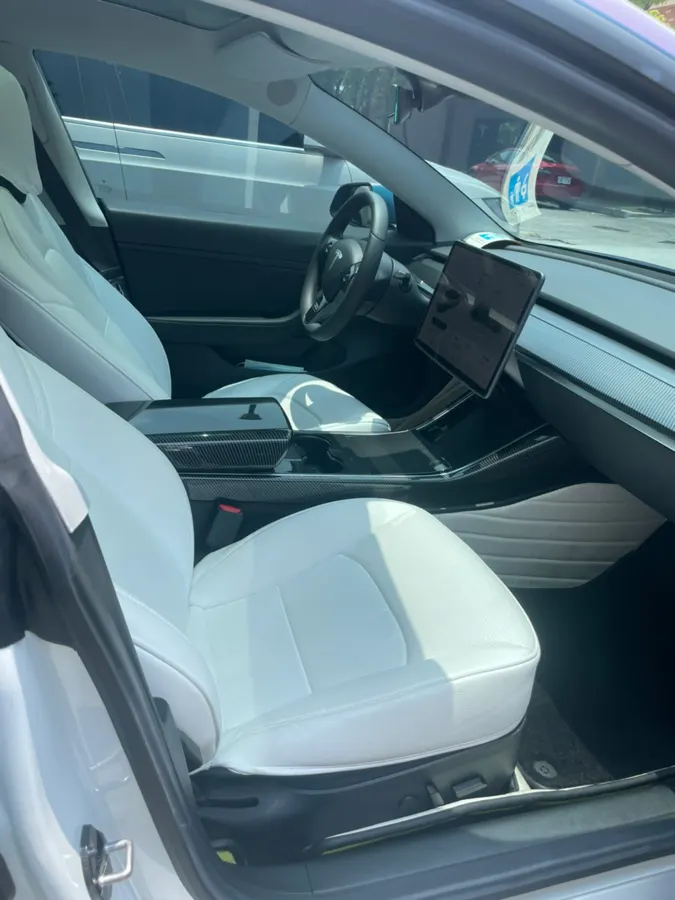 Tesla Model 3 LR