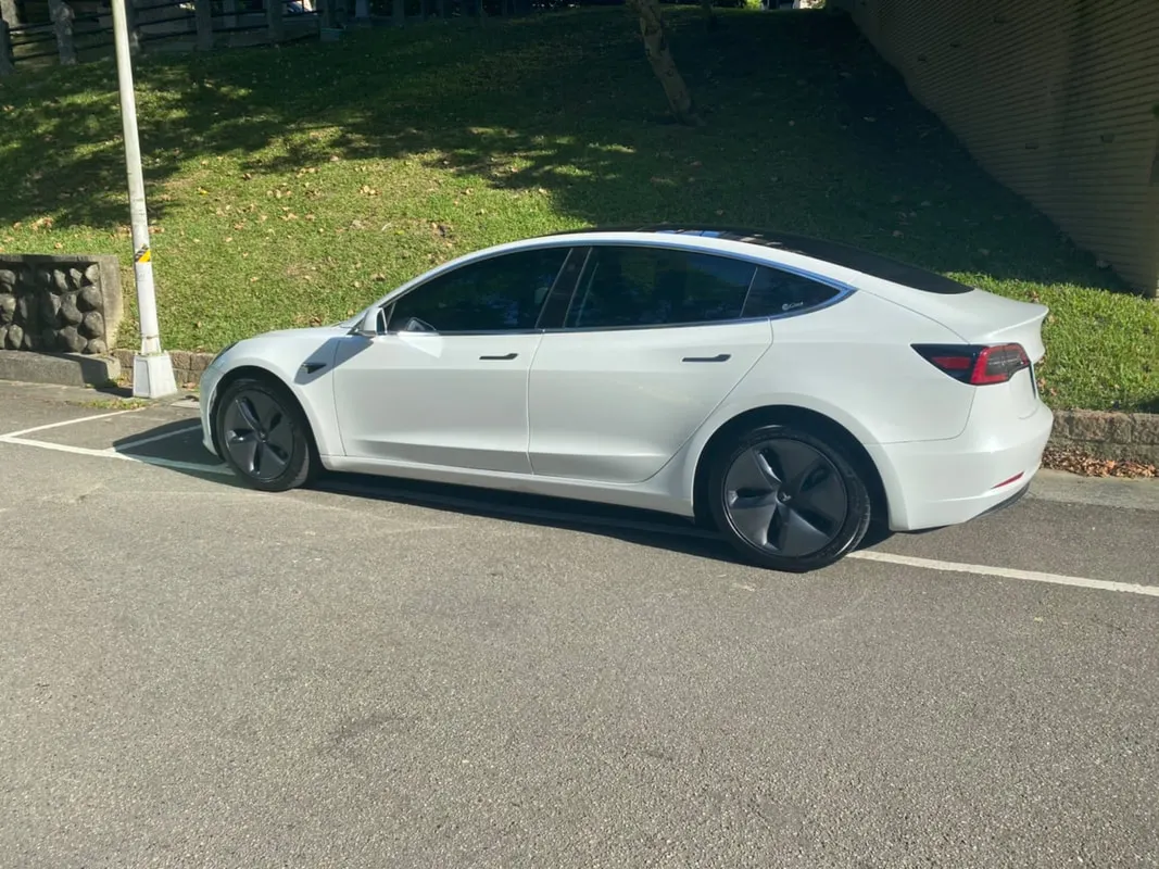 Tesla Model 3 LR  照片 1