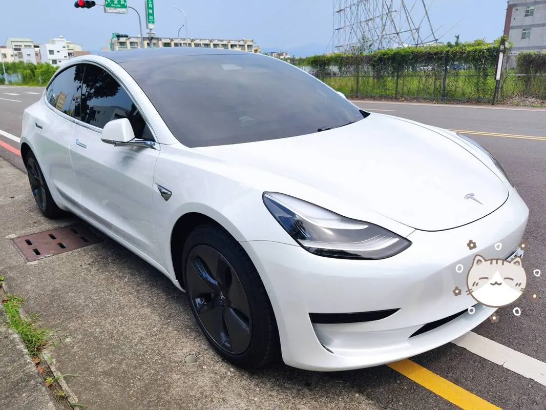 Tesla Model 3 SR+ 照片 1