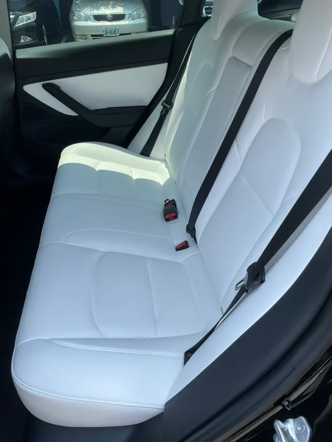 Tesla Model 3 LR 照片 1