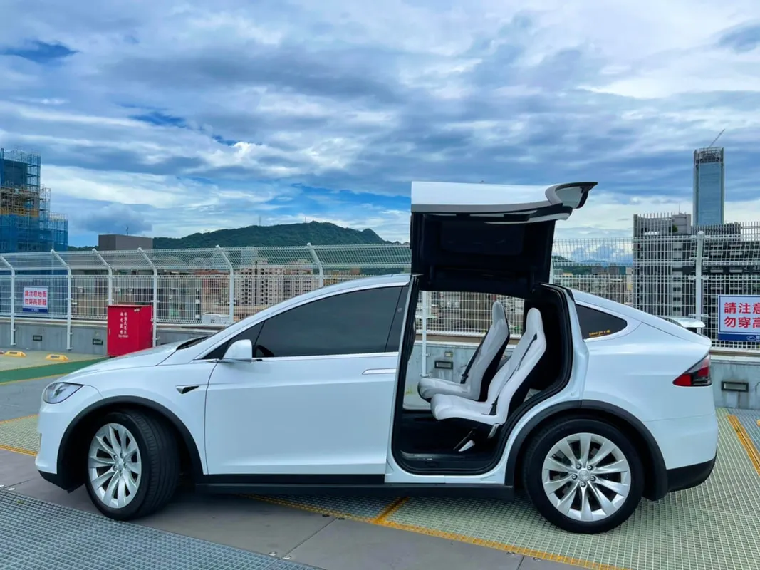 Tesla Model X 100D 照片 1