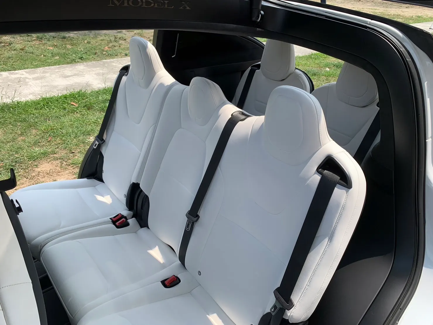 Tesla Model X 100D 照片 1