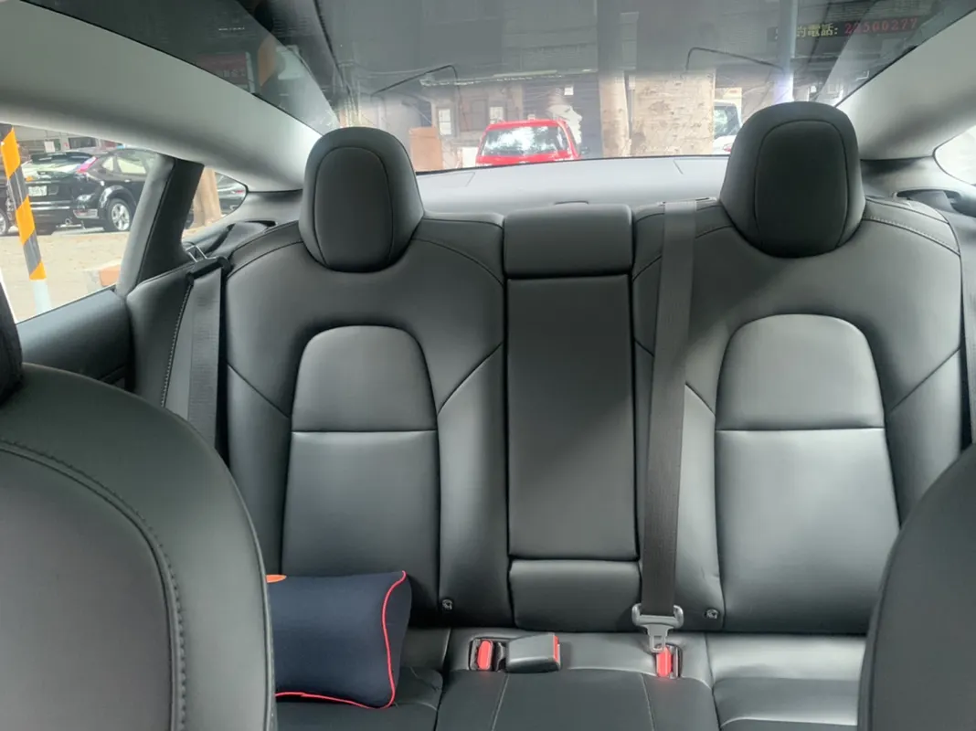 Tesla Model 3 LR 照片 1