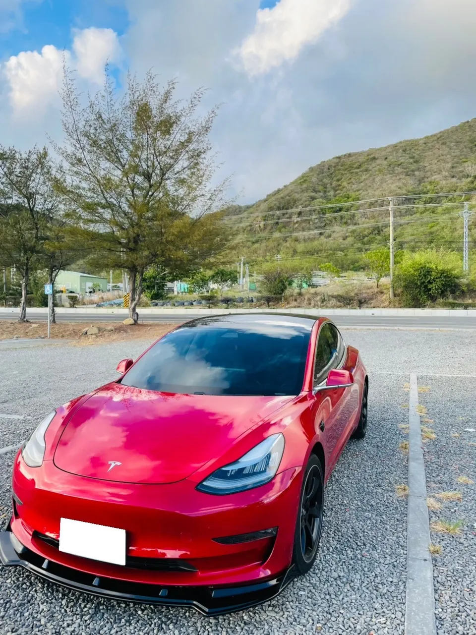 Tesla Model 3 Performance