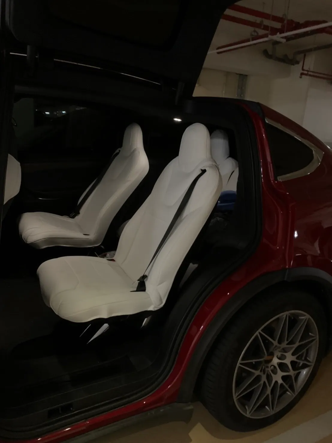 Tesla Model X 100D 照片 1