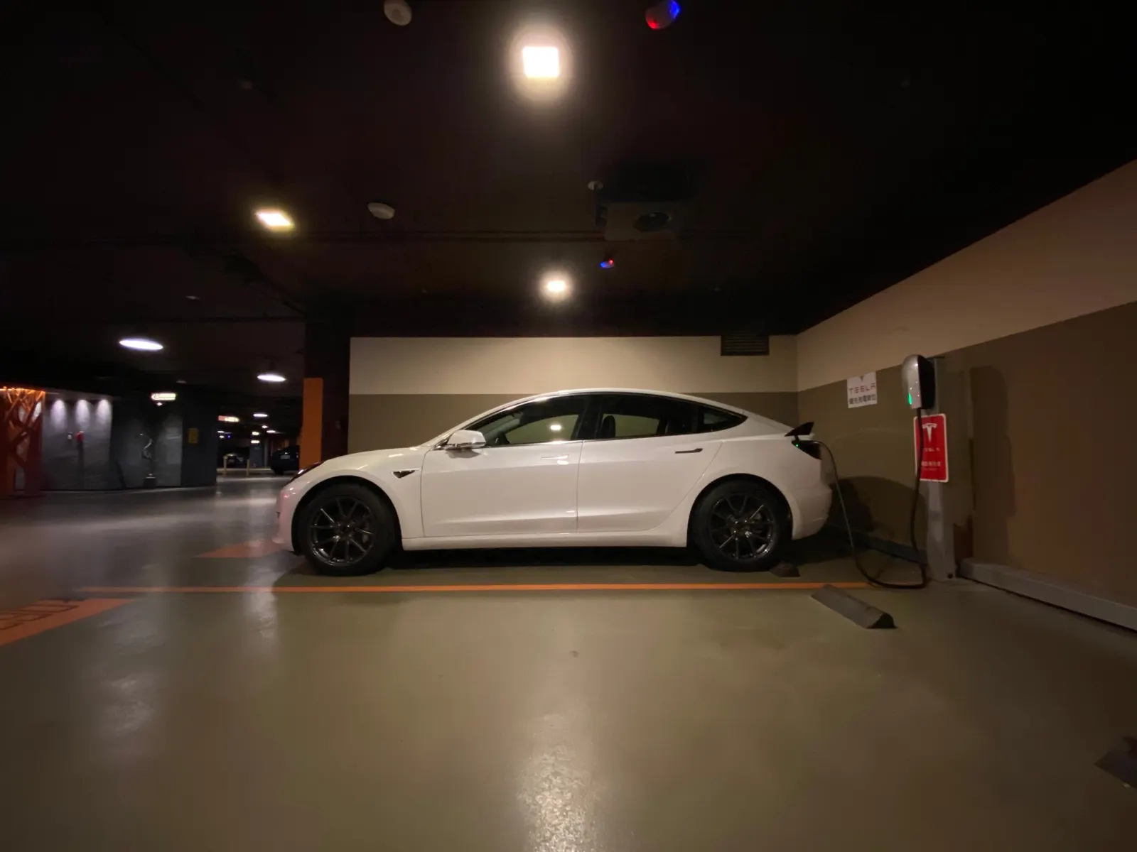 Tesla Model 3 LR 照片 1