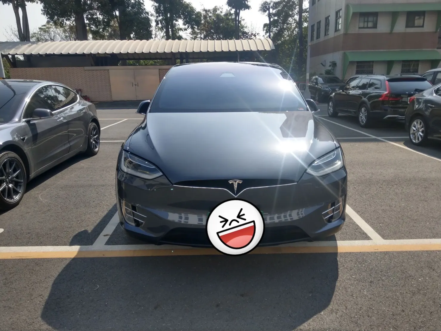 Tesla Model X 100D 照片 1