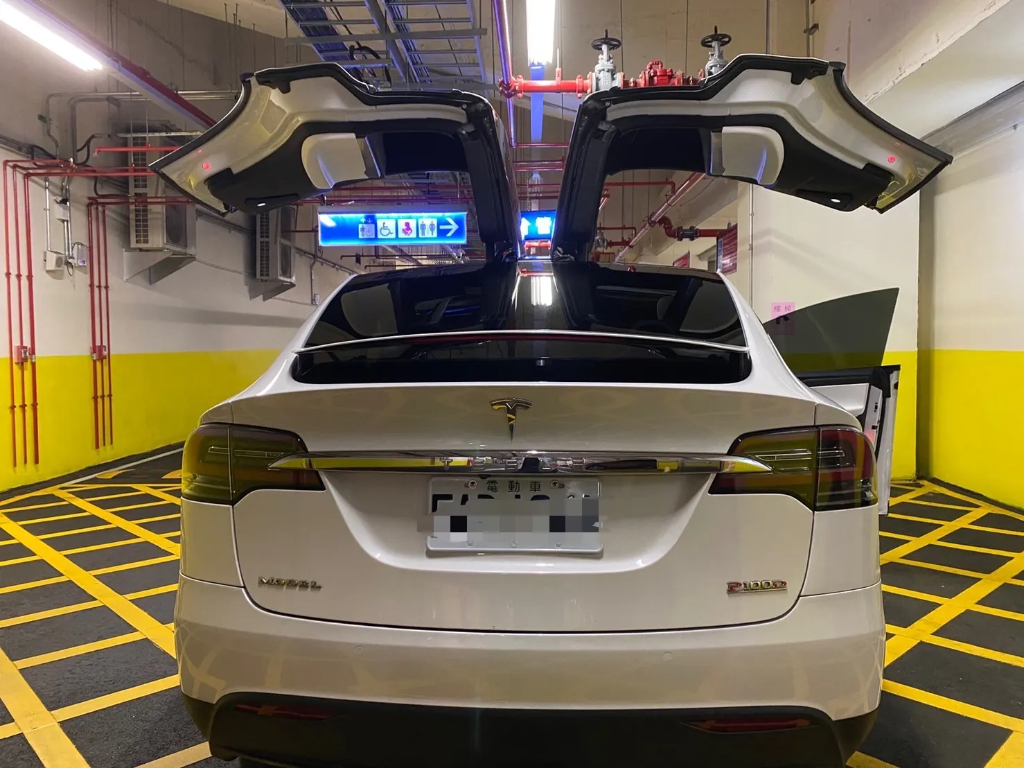 Tesla Model X P100DL 照片 1
