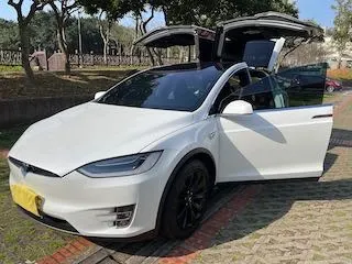 Tesla Model X 100D