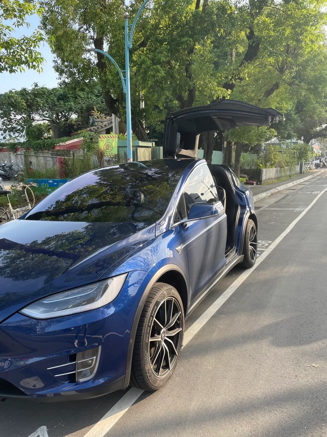 Tesla Model X 75D 照片 1