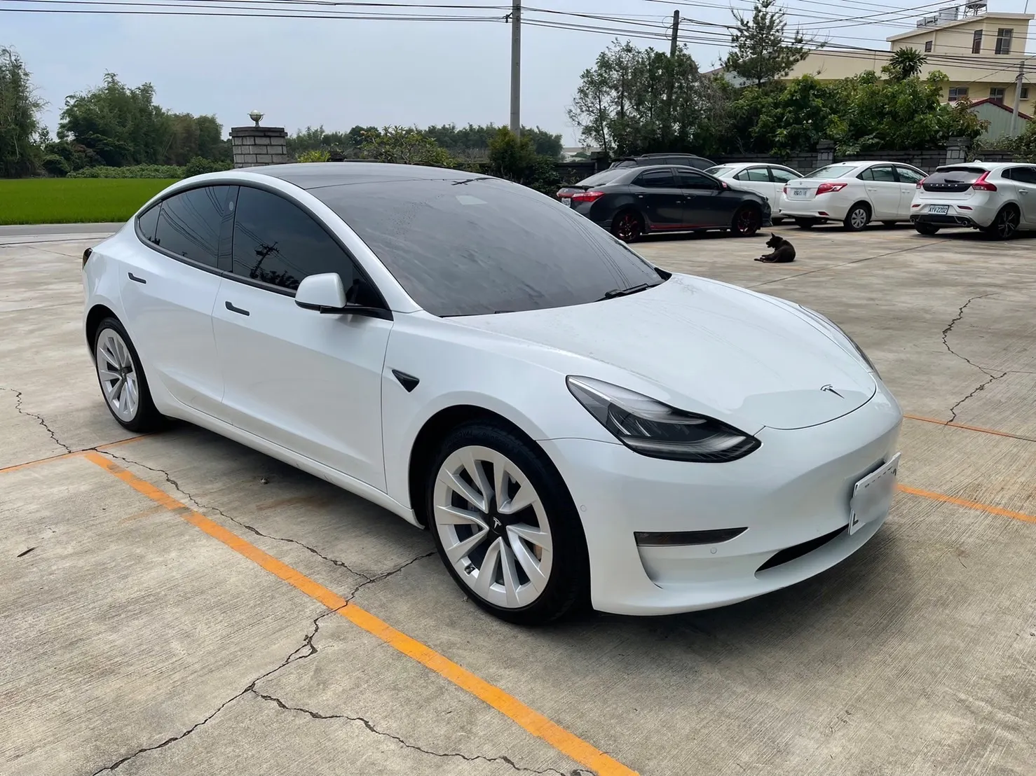 Tesla Model 3 LR 照片 1