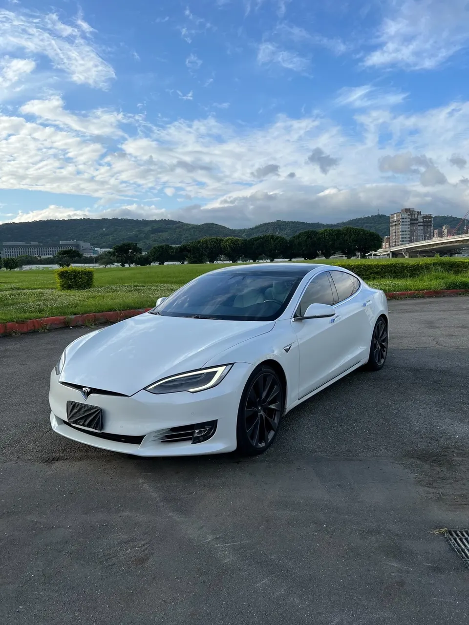 Tesla Model S P100DL
