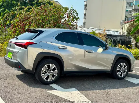 Lexus UX300e 照片 1