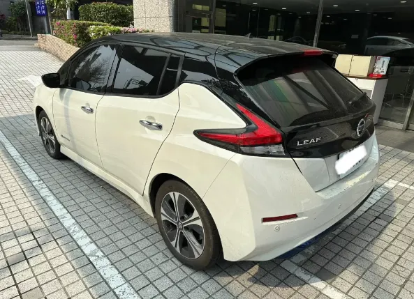 Nissan Leaf 照片 1