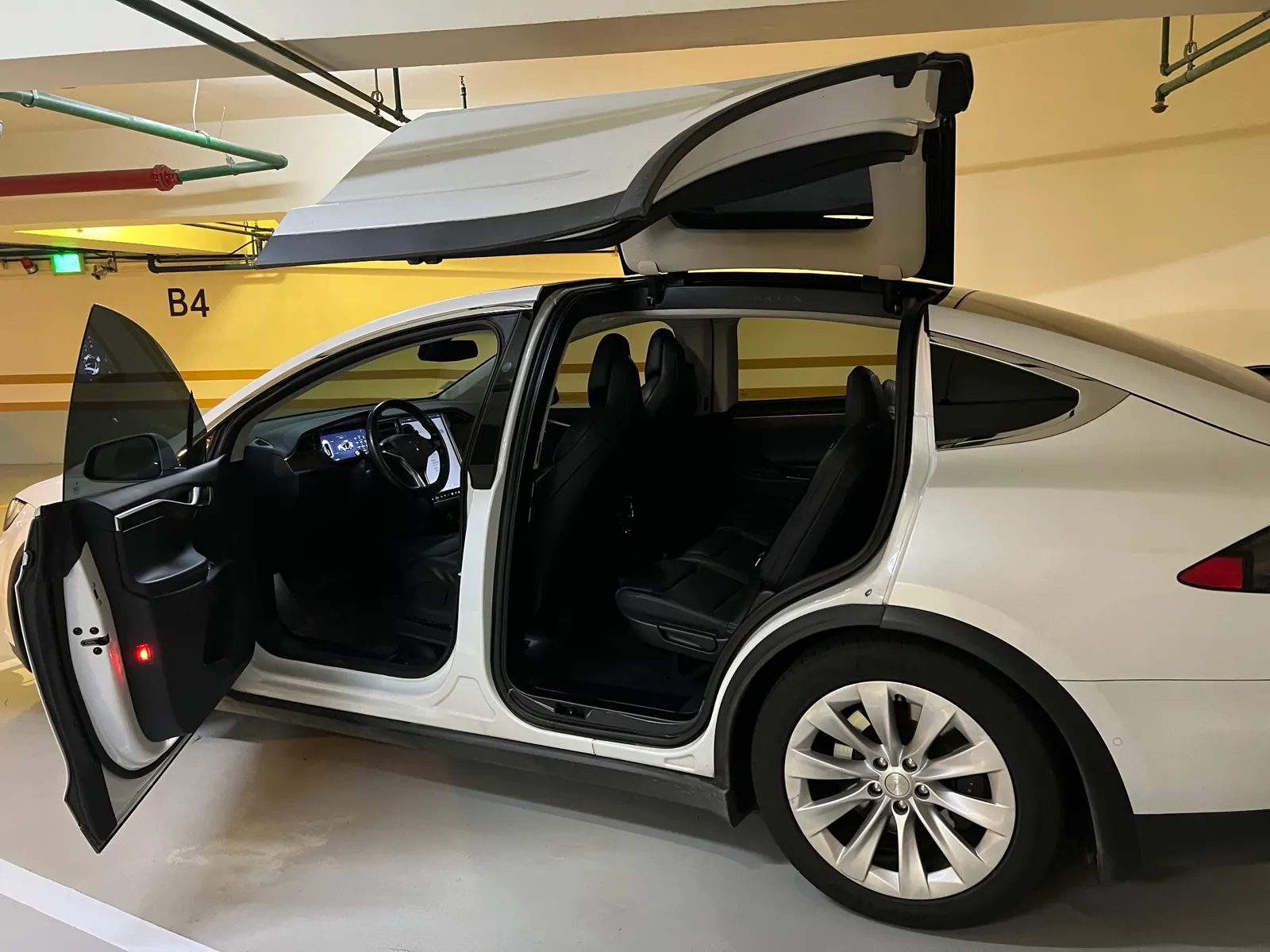 Tesla Model X 100D 照片 1