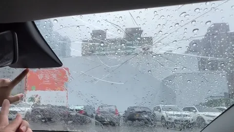 車內收摺疊傘傘柄彈飛　特斯拉前擋碎裂維修逾3萬